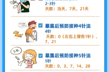 传染科打狂犬疫苗：详细解读接种流程及注意事项