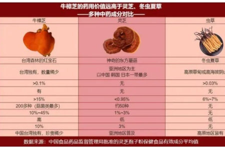 骨科菌灵芝与其他灵芝成分对比，真相在这里！