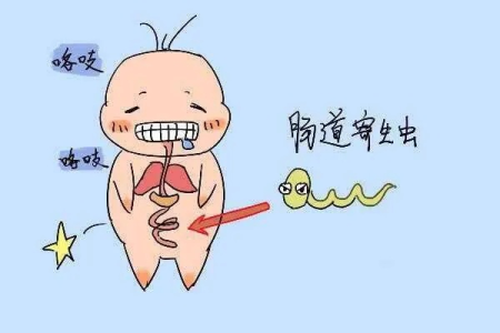 如何判断孩子肚子里是否有蛔虫？典型症状是什么？
