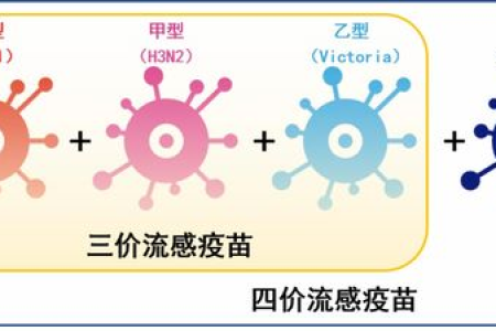 呼吸内科科普：流感疫苗三价和四价有何不同？适合谁？