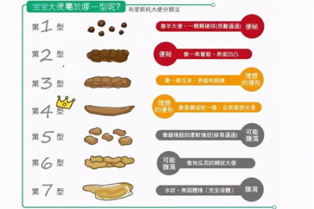 宝宝的便便是什么样的？新生儿的屎应该是什么样的，新手爸妈必看