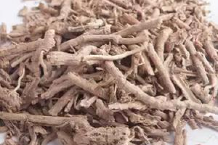 想了解地骨皮的功效与作用？禁忌人群和用法用量都在这里