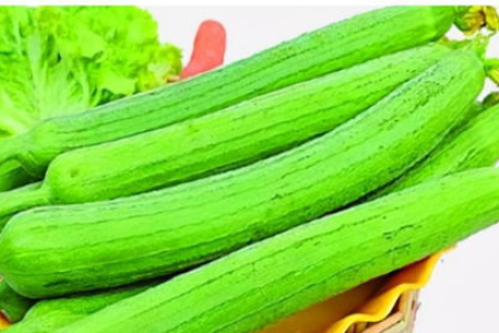 丝瓜的养生价值及食用方法，以及丝瓜可能存在的副作用