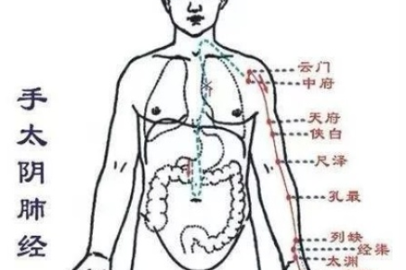 中医养生：凌晨3点容易醒，和肺经有什么关系？