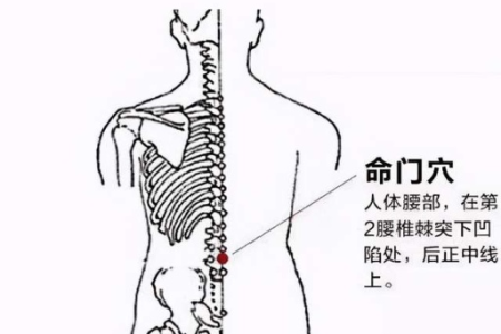 中医养生：命门穴的功效与作用有哪些？