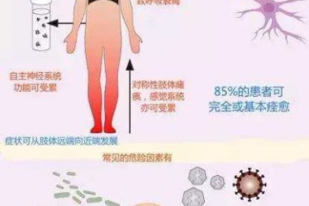 别慌！中医养生帮你对抗格林巴利综合征，这篇告诉你方法