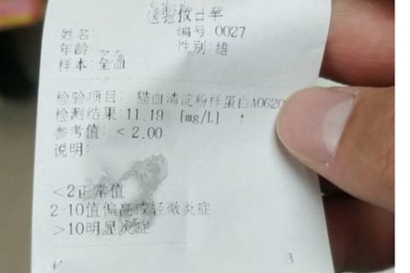 超C反应蛋白高了？养生饮食能帮你改善吗？
