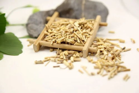 中医养生：白茅根怎么吃？功效与作用详解