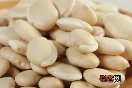 白扁豆的功效与作用及禁忌，教你正确食用白扁豆