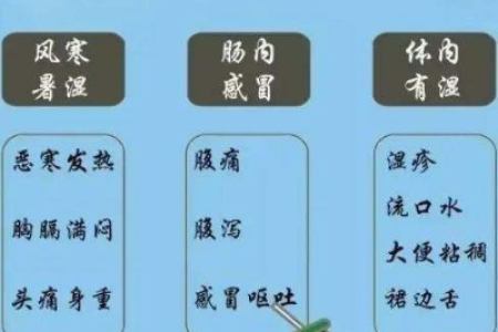 中医养生：藿香正气水功能及使用方法