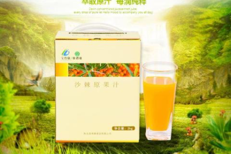 沙棘果浆的功效与作用是什么？中医养生如何正确服用？