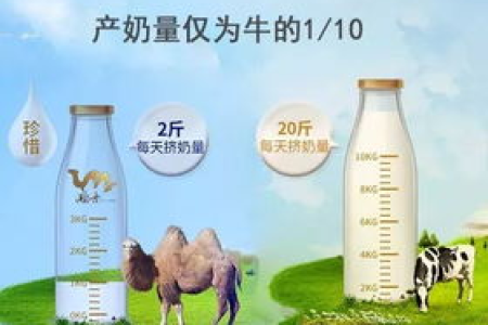 骆驼奶养生指南：功效、作用、食用方法及注意事项