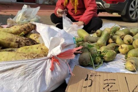 贫血78g/L算严重吗？食疗养生有用吗？有哪些危险需要警惕？