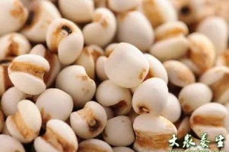 薏苡仁的功效与作用：中医养生秘诀，主治哪些疾病？