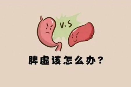 想知道脾在哪里？中医养生教你如何判断自己是否脾虚！