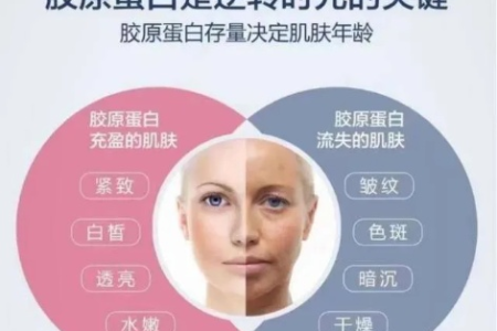 吃出好皮肤：鱼胶原蛋白肽的养生饮食价值