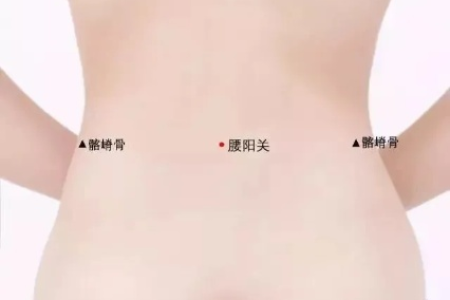 艾灸减肥最快方法：哪个穴位瘦身效果最好？