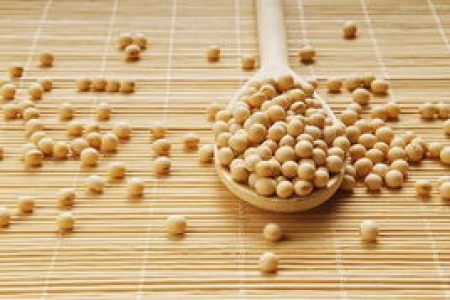 蛋白粉对养生饮食的影响：功效、作用及潜在副作用