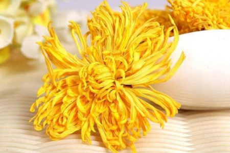 中医养生秘籍：白菊花和黄菊花，如何选择适合自己的？