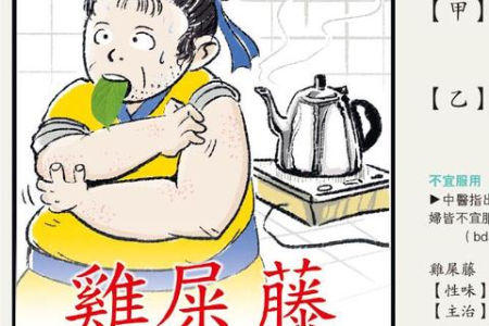 中医养生：黑芝麻的功效作用及最佳食用方法大全