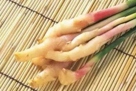 韭菜生姜枸杞煮水喝真的能减肥？别被骗了！