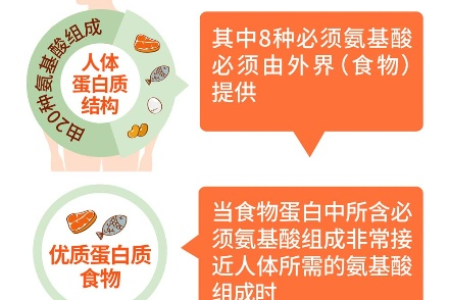 白蛋白低怎么办？这份养生饮食指南帮你解决