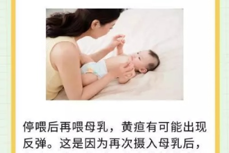 宝宝母乳性黄疸反复，暂停母乳有用吗？