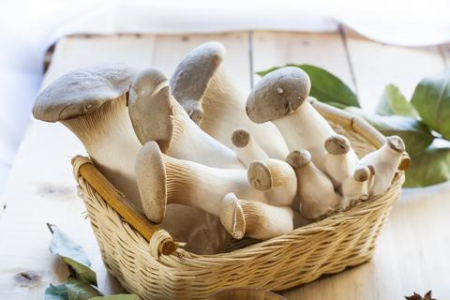 产后下奶最快的方法是什么？月子餐食谱推荐！