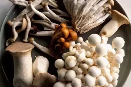 想吃菌菇但又怕怀孕影响？孕妇吃菌菇的正确打开方式