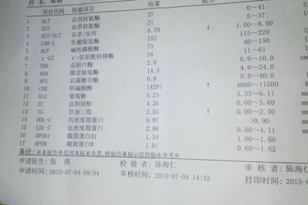 孕前检查肝功能与乙肝五项：区别在哪里？哪个更重要？