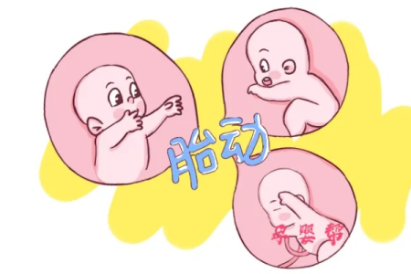 胎动有时候多有时候少，孕妈该怎么办？怀孕期胎动变化