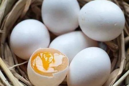 怀孕期间可以吃鸽子蛋吗？各个孕期都能吃吗？