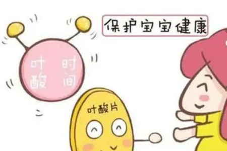 吃叶酸片备孕，什么时候开始吃最好？详细服用时间指南