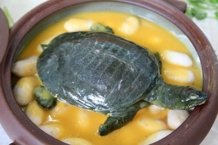 想吃水鱼但怀孕了怎么办？孕期水鱼食用指南