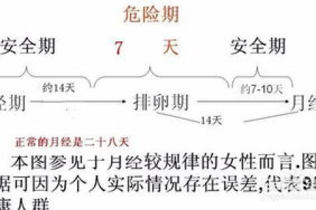 计算排卵期最准确的方法是什么？几个实用技巧分享！