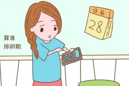 轻松备孕：掌握女性排卵期症状和感觉
