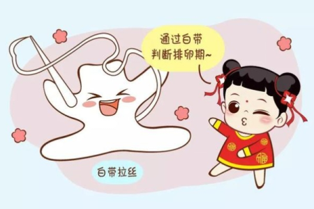 排卵期没有拉丝白带是咋回事？孕前检查必看！