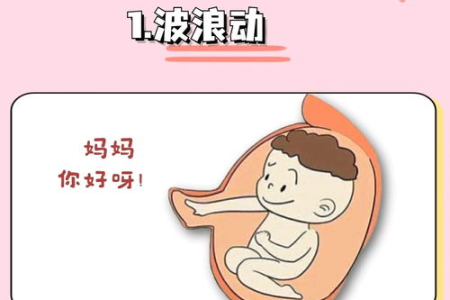 怀孕期胎动能看出宝宝性别吗？别信谣言，科学告诉你答案！