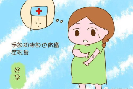 检查发现甘胆酸偏高怎么办？孕前准备需要注意什么？