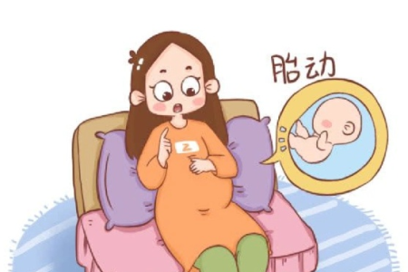 怀孕六个月胎动频繁是缺氧吗？教你正确观察胎动