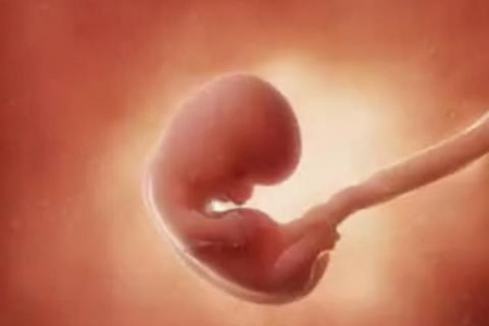 婴幼儿三个月的宝宝发育标准是什么？体重、身高、头围如何判断？