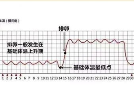 排卵期体温变化规律：升高还是降低？教你轻松掌握排卵期！
