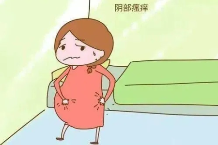 孕期私处瘙痒是什么原因导致的？如何缓解孕期下面痒？