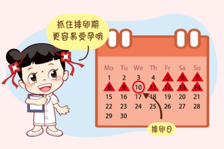 孕前疑问：排卵期性生活，几下就出来会怀孕吗？