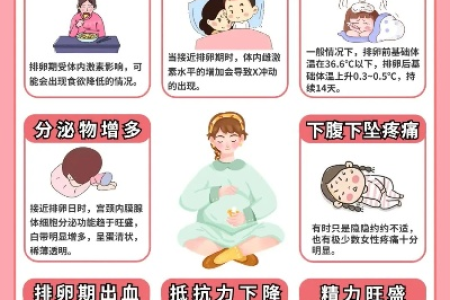 想怀孕？了解女人的排卵期是关键！这篇文章告诉你答案