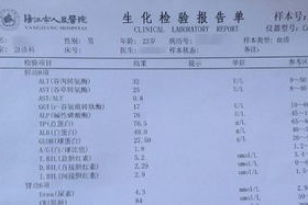 孕前准备：肝功能和乙肝两对半检查区别是什么？