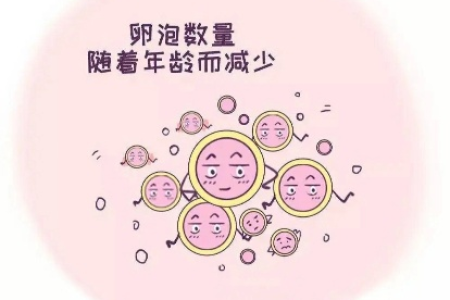 孕前准备：排卵期卵泡破裂是怎么回事？别担心，我来解答！