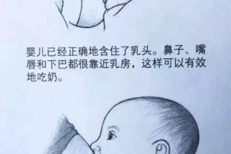 分娩期婴儿吸奶力有多大？和吸奶器哪个吸力更强？