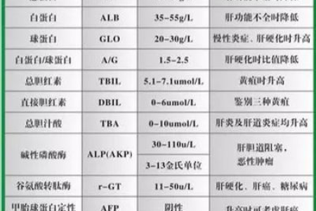 孕前体检肝功能都查什么？几项关键指标要关注！