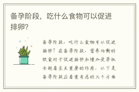 备孕后想尽快怀孕？这些食物帮你促进排卵！